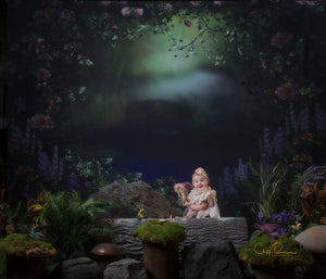 The Pixie Hollow Session and Edit