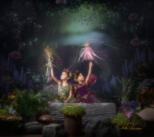 Load image into Gallery viewer, The Pixie Hollow Session and Edit