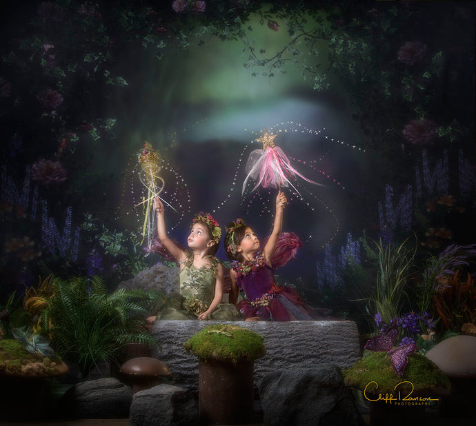 The Pixie Hollow Session and Edit