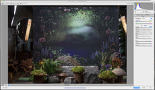 Load image into Gallery viewer, The Pixie Hollow Session and Edit