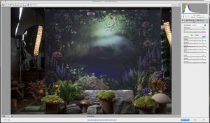 The Pixie Hollow Session and Edit